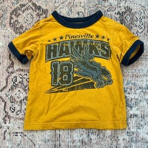 Place Gold and Black Hawks Graphic Tee